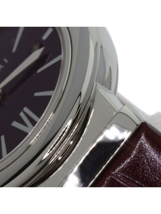 Bvlgari Luchea Watch SS Leather main image 7